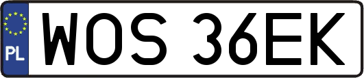 WOS36EK