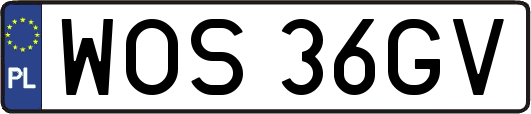 WOS36GV
