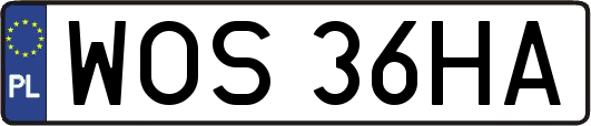 WOS36HA