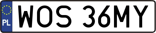 WOS36MY