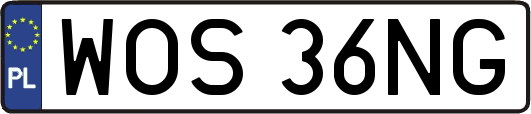 WOS36NG