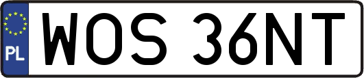 WOS36NT