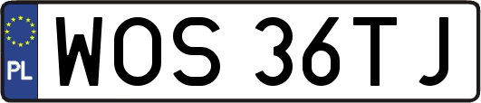WOS36TJ