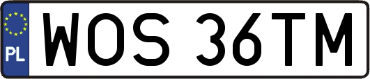 WOS36TM