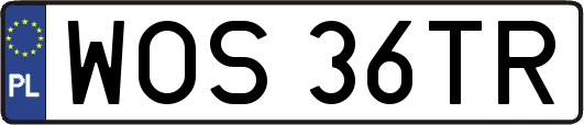 WOS36TR