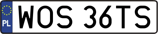 WOS36TS