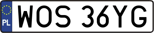 WOS36YG