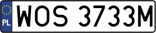 WOS3733M