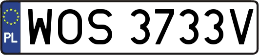 WOS3733V