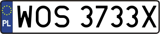 WOS3733X