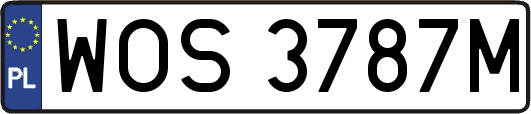 WOS3787M