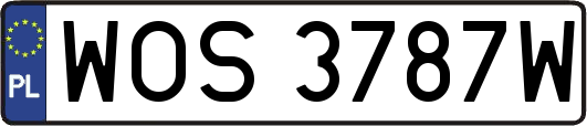 WOS3787W
