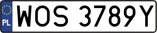 WOS3789Y