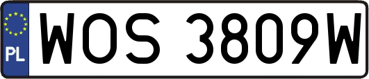 WOS3809W