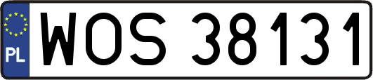 WOS38131