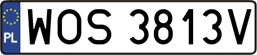 WOS3813V