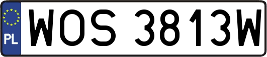 WOS3813W
