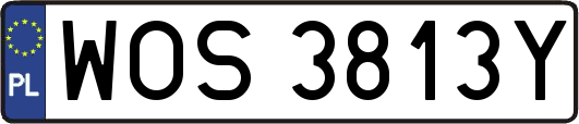 WOS3813Y