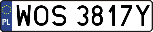 WOS3817Y