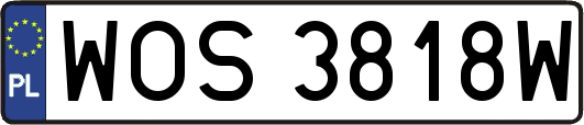 WOS3818W
