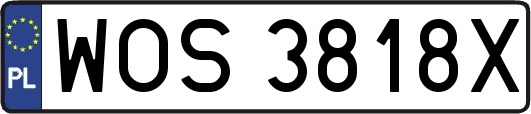 WOS3818X
