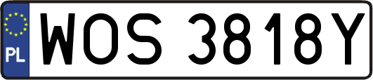 WOS3818Y