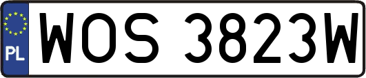 WOS3823W