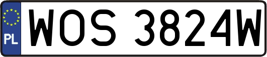 WOS3824W