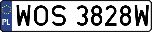 WOS3828W