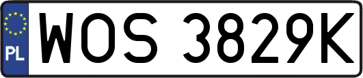 WOS3829K