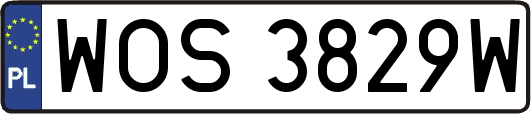 WOS3829W