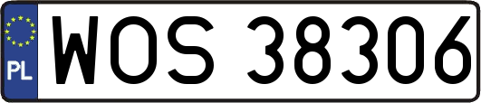 WOS38306