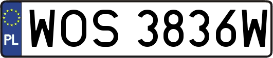 WOS3836W