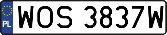 WOS3837W