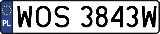 WOS3843W