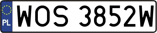 WOS3852W