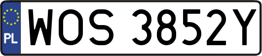 WOS3852Y