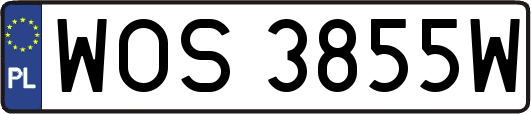 WOS3855W