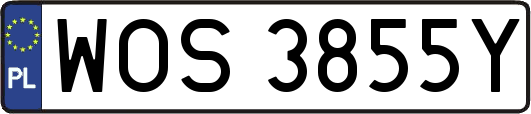WOS3855Y