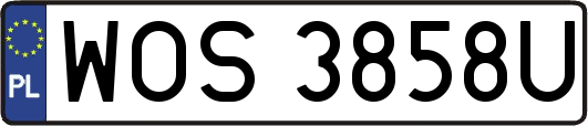 WOS3858U