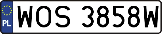 WOS3858W