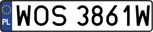 WOS3861W
