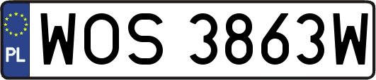 WOS3863W