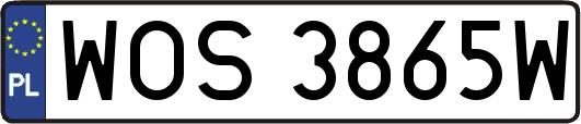 WOS3865W