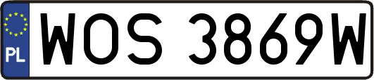 WOS3869W
