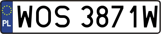 WOS3871W
