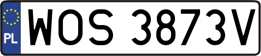 WOS3873V