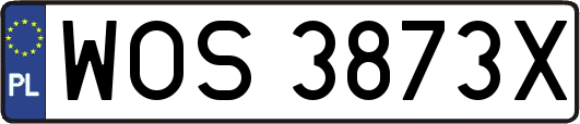 WOS3873X