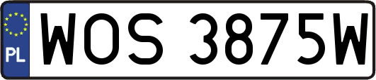 WOS3875W