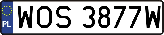 WOS3877W